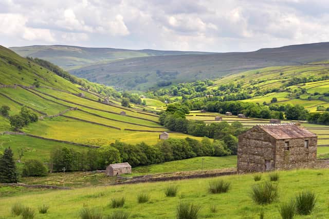 A typical Swaledale scene - is this the place to live and work in the future? Photo: Bruce Rollinson.