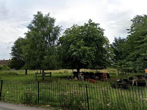 A man and his dog were attack on Hob Moor in York on Tuesday, June 9. Photo: Google.