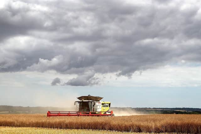 What will be the future of farming after Brexit?