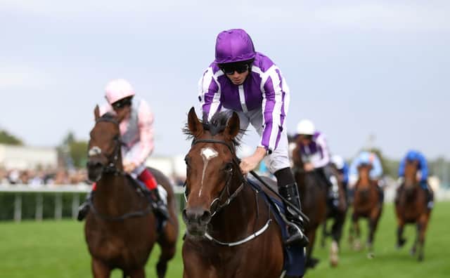 Former St Leger winner Kew Gardens is out of next week's Ascot Gold Cup.
