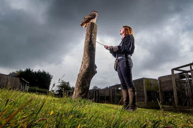 Poppy Wilson, Senior Falconer at South Cave Falconry with European Eagle Owl Edward Picture: James Hardisty