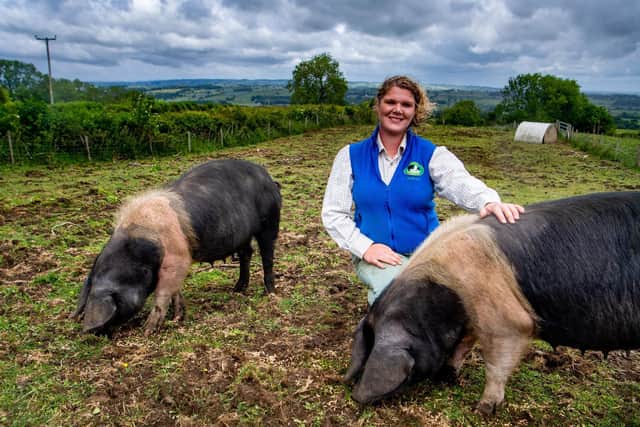 Rowan is a member of Ladies in Pigs and has joined their education team