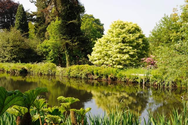 Chatsworth gardens