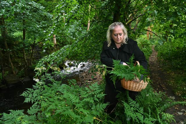 Alysia goes out foraging in all weathers. Here [icking Sweet Cicerly.
Picture Jonathan Gawthorpe