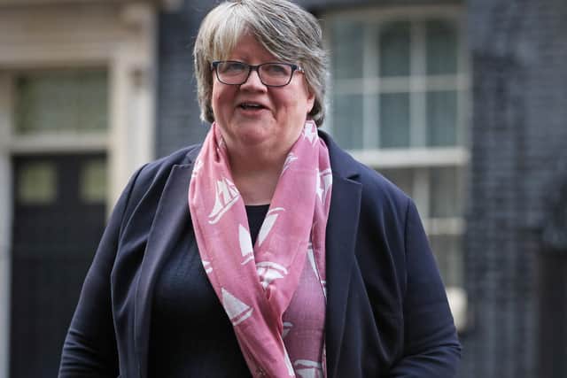 Dr Therese Coffey is the Work and Pensions Secretary.
