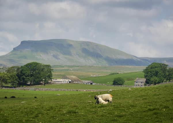 More people are enjoying the countryside and areas like Settle since the Covid-19 lockdown.