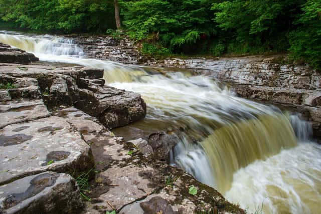 Stainforth Foss on the River Ribble. Picture Bruce Rollinson