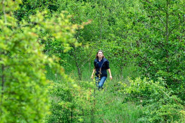Susie Kinghan, project manager for the Ribble Rivers Trust, in the recently planted woodland at Stainforth Foss on the River Ribble. Picture Bruce Rollinson
