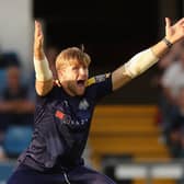 In pole position: David Willey. Picture: Getty Images