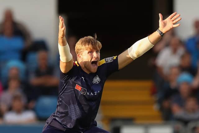 In pole position: David Willey. Picture: Getty Images