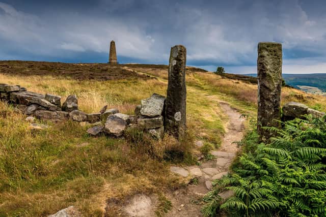 Is enough being done to protect the North York Moors from encroachment? Photo: James Hardisty.