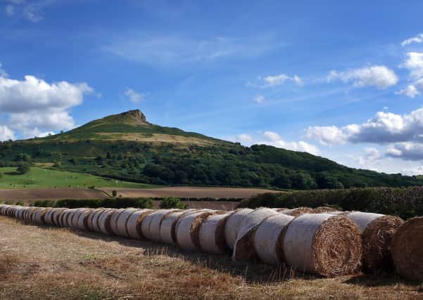 Roseberry Topping is emblematic of the North York moors. Photo: Ian Day.