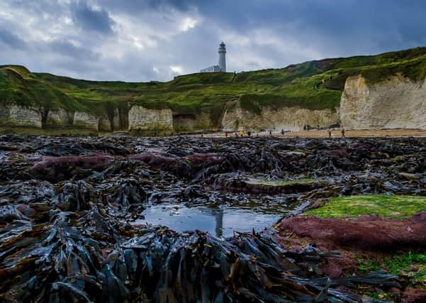 there’s nothing more uplifting for the soul than the sight of Flamborough Lighthouse, writes Jayne Dowle. Photo: James Hardisty.
