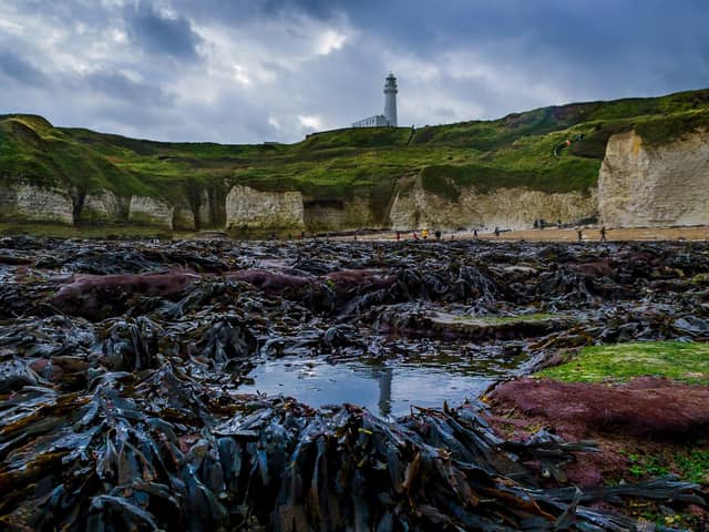 there’s nothing more uplifting for the soul than the sight of Flamborough Lighthouse, writes Jayne Dowle. Photo: James Hardisty.