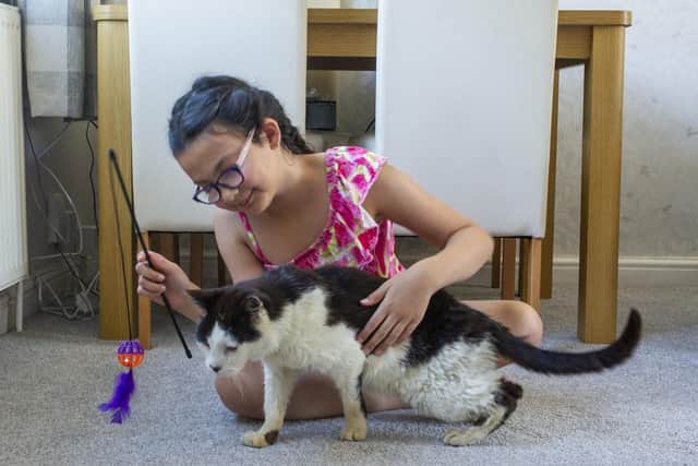 Vicky Swainson's niece Amirah, aged eight, playing with pet cat Gucci who is back with the family after being missing for 12 years.