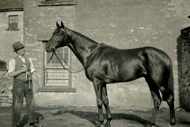 This is Dante at his stables in Middleham in 1945 - Derby year.