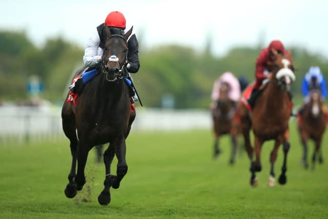 Double: Golden Horn was the last horse to win the Dante and Derby double, winning at York under William Buick before landing the Classic at Epsom under an inspired Frankie Dettori.
