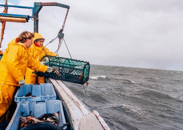 Can Britain become the lobster capital of Europe? Photo: James Hardisty.