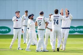 Rejoice - Yorkshire CCC and county cricket are coming back (Picture: Bruce Rollinson)