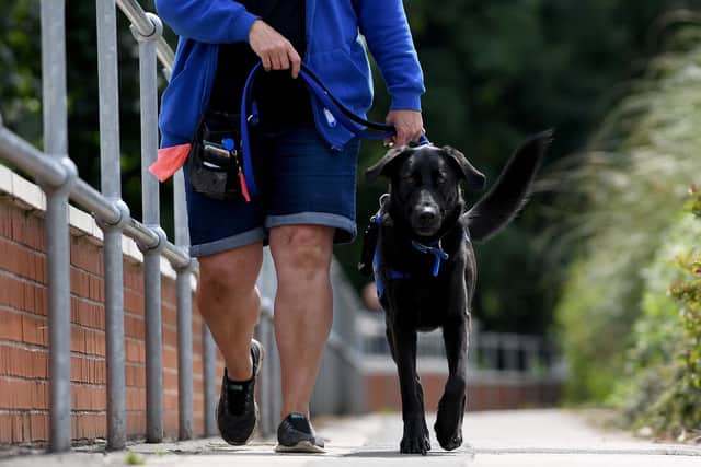 Support Dogs' trainer Tracey Moore with Arthur. Picture: Simon Hulme