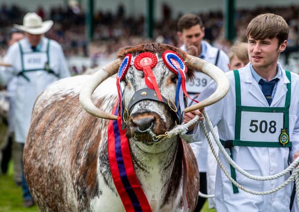 A virtual Great Yorkshire Show is due to be held this month. Photo: James Hardisty.