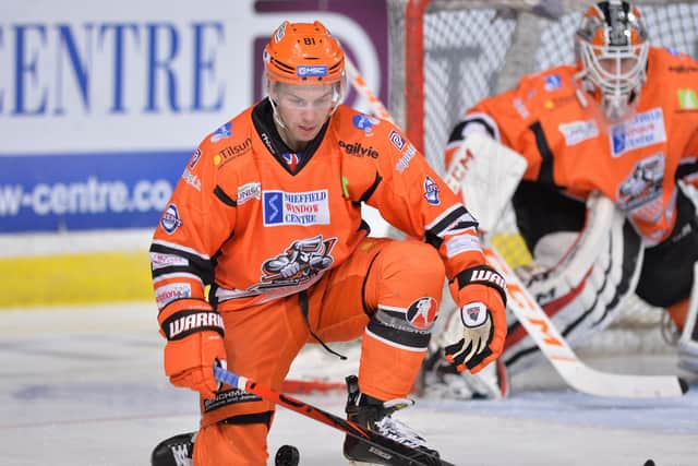 GONE: Defenceman Ben O'Connor will not be back for Sheffield Steelers in the EIHL.