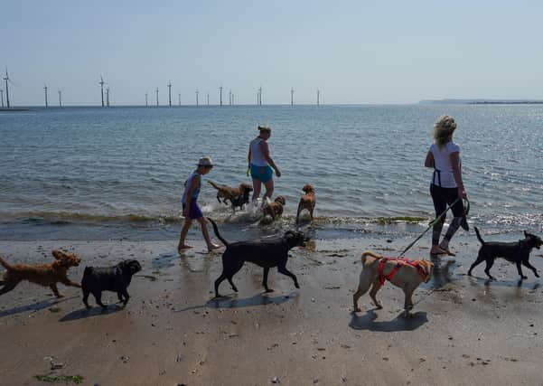 Will the Chancellor's measures help towns like Redcar?