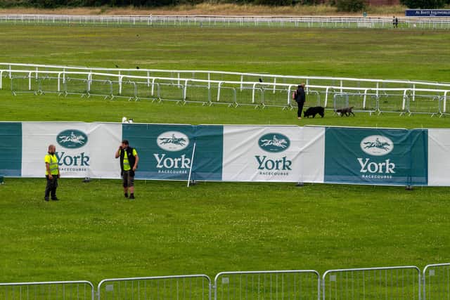 Part of the fencing to deter racegoers watching York's races form inside the middle of the track.