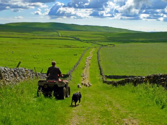 Quad bike theft occurs on a regular basis in North Yorkshire and can devastate farmers financially