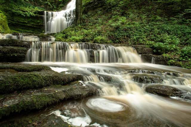 Scaleber Foss is a popular beauty spot in the Yorkshire Dales. Photo: Bruce Rollinson.