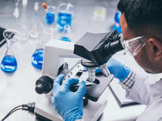 Health care researchers working in life science laboratory.