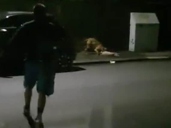 A still from the video of the incident in Thornaby, which the RSPCA says it is unable to release in full