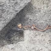 An Iron Age skeleton, one of several archaeological discoveries at Wellwick Farm, Wendover