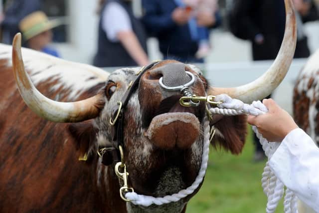 The Great Yorkshire Show is an annual reminder to Ministers that farming should be at the forefront of their minds, says Andrew Vine.