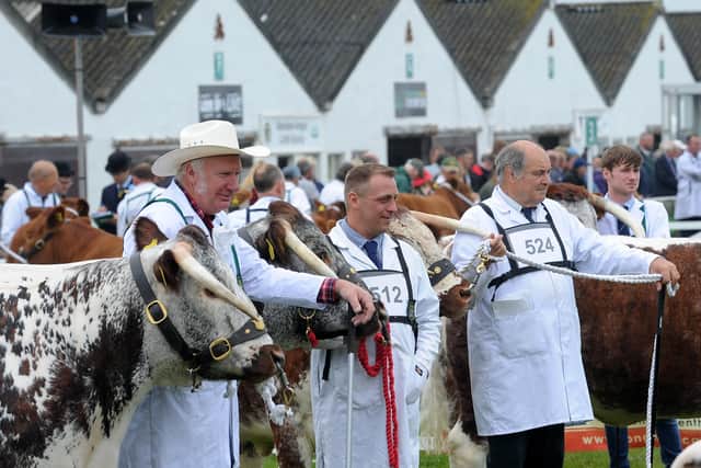 The Great Yorkshire Show is taking place in virtual form this year.
