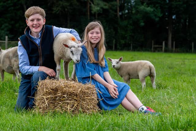 Edward will be giving a virtual tour of the family farm for the Great Yorkshire Show online.