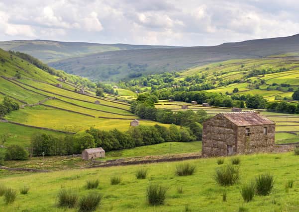 What should be Yorkshire's future tourism policy? Photo: Bruce Rollinson.