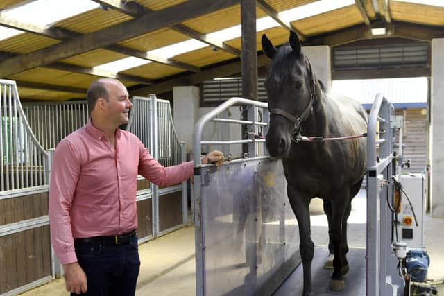 Ritchie with Heresy on the treadmill at his stud near Ripon