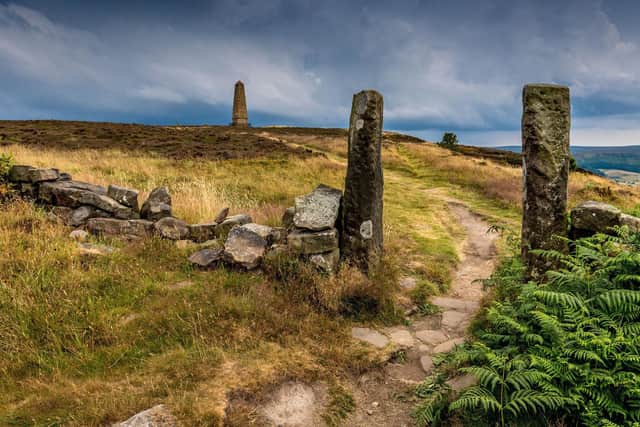 Easby Moor - picture by James Hardisty