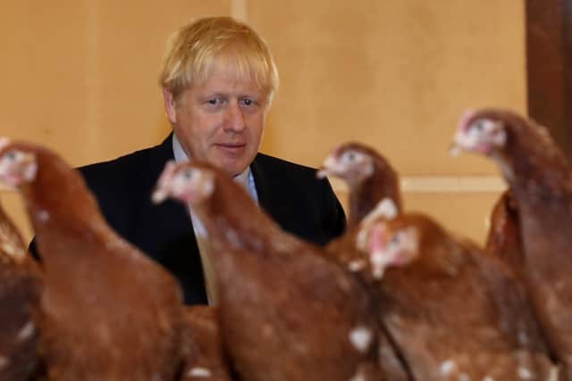 Boris Johnson and the Government is accused of undermining farming and food standards.