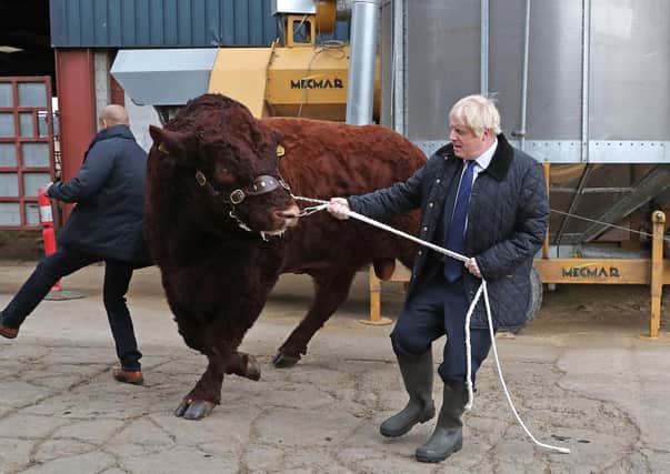 Boris Johnson 'meets and greets' a bull while on the campaign trail last year as a security officer takes cover.