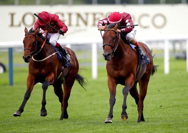 The Lir Jet (left) could be York-bound after landing the Norfolk Stakes under Oisin Murphy.