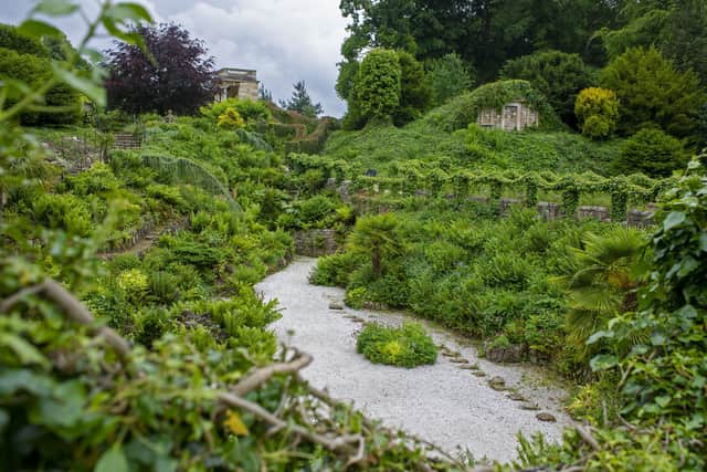 The fern garden at English Heritage site Brodsworth Hall near Doncaster. Picture Tony Johnson
