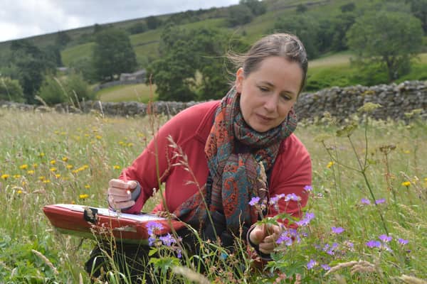 Dr Ruth Starr-Keddle carrying out a meadow survey in Upper Swaledale. Image: North Pennines AONB