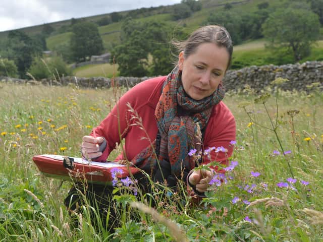 Dr Ruth Starr-Keddle carrying out a meadow survey in Upper Swaledale. Image: North Pennines AONB
