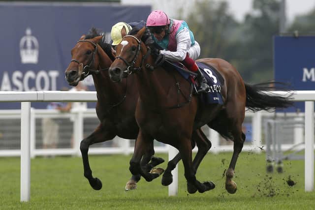 Close call: Enable's battle with Crystal Ocean in last year's King George was, arguably, the race of 2019.  Picture: PA