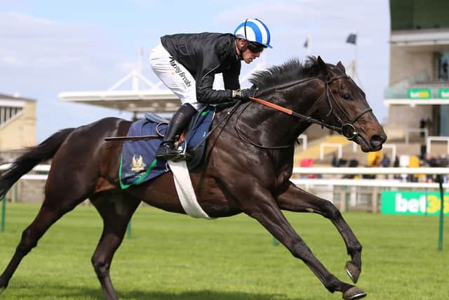 Elarqam, the mount of Jim Crowley, continues to please connections ahead of today's Sky Bet York Stakes on the Knavesmire.