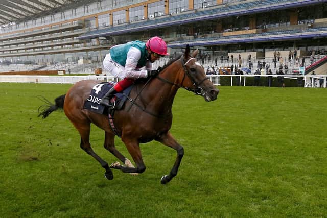 Enable and Frankie Dettori cross the line in triumph in the King George.