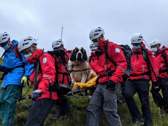 Members of Wasdale Mountain Rescue Team rescuing Daisy the St Bernard which had collapsed while descending Scarfell Pike in the Lake District. Picture: Wasdale Mountain Rescue Team/PA Wire