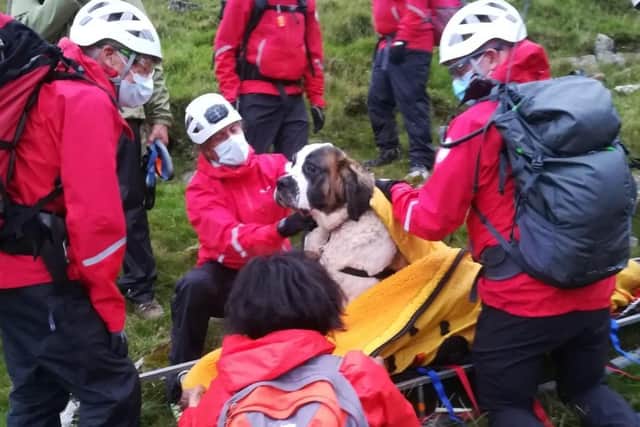 Members of Wasdale Mountain Rescue Team rescuing Daisy the St Bernard which had collapsed while descending Scarfell Pike in the Lake District. Picture: Wasdale Mountain Rescue Team/PA Wire